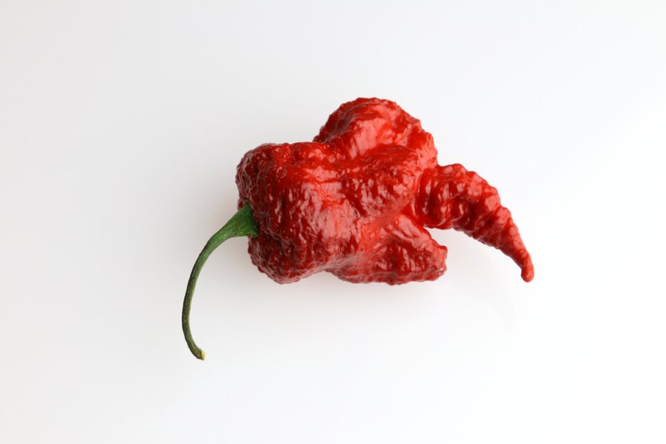Spicy component red