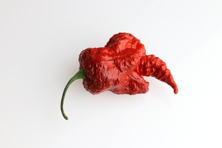 Spicy component red