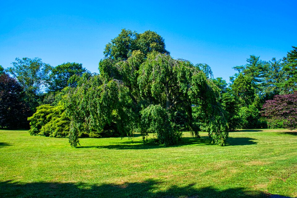 Nature landscape