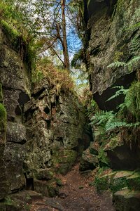 Chasm the roaches united kingdom photo