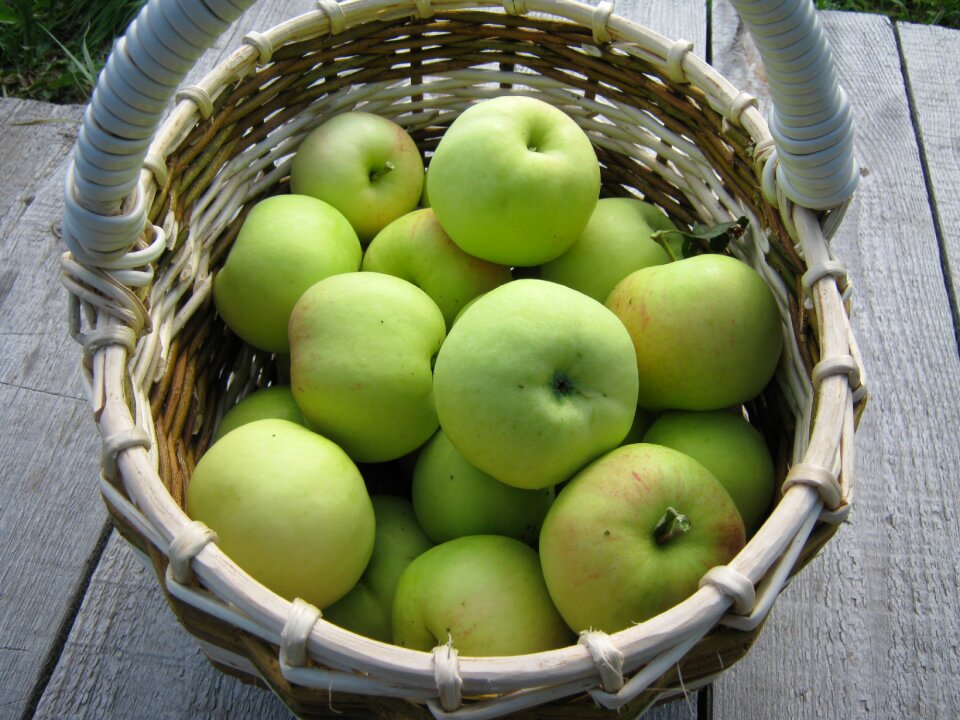 Nutrition apple fresh