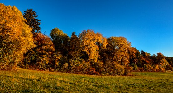 Autumn colorful light