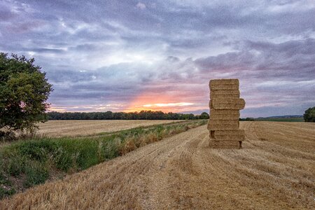 Sunset nature prairie photo