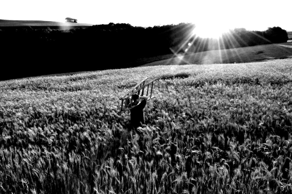 Sunset dusk landscape
