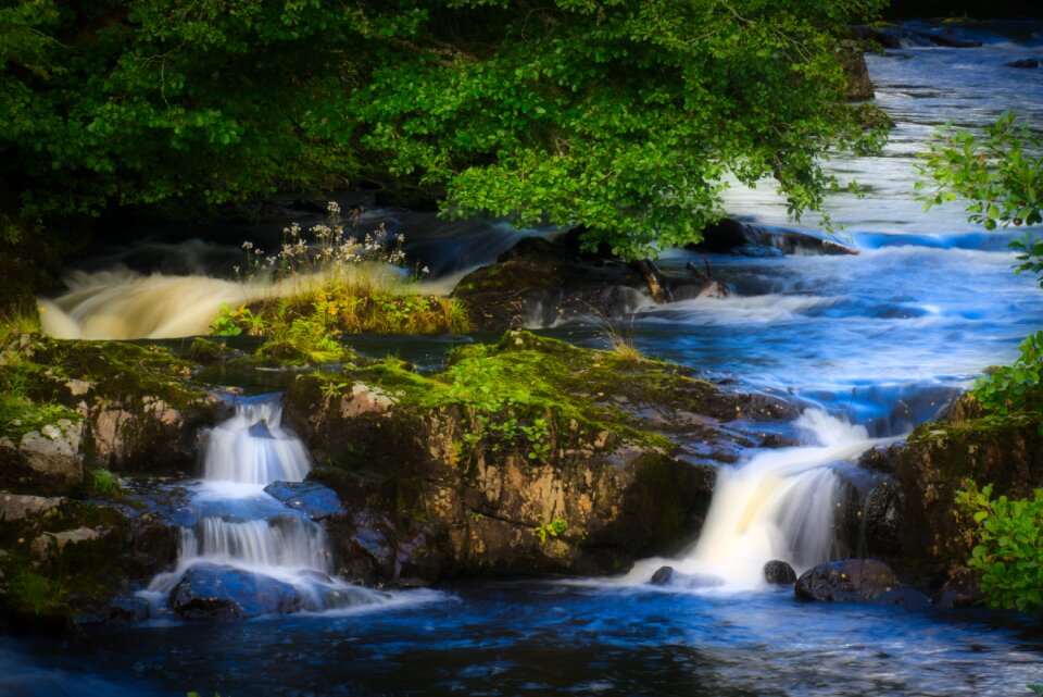 Nature water veil cases