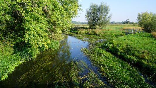 River scenic morning photo