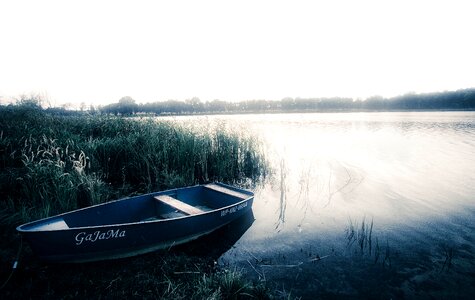 Nature mood gloomily photo