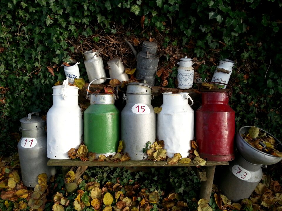 Pot autumn nature