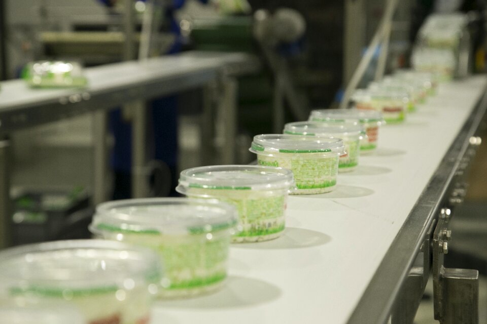 Plant production factory
