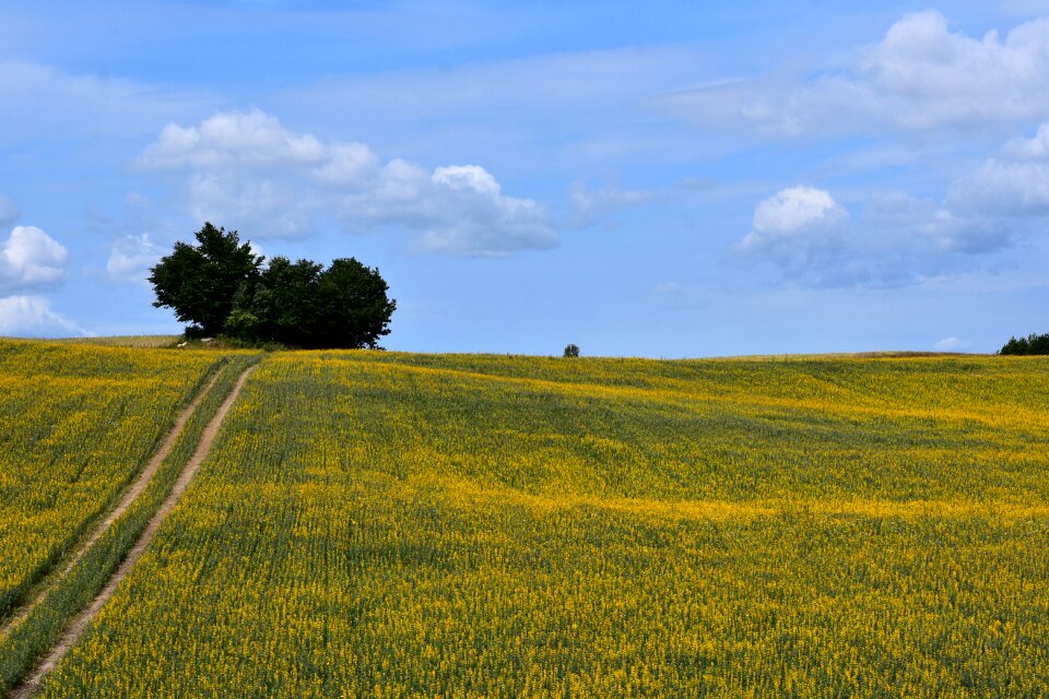 Village landscape kaszuby