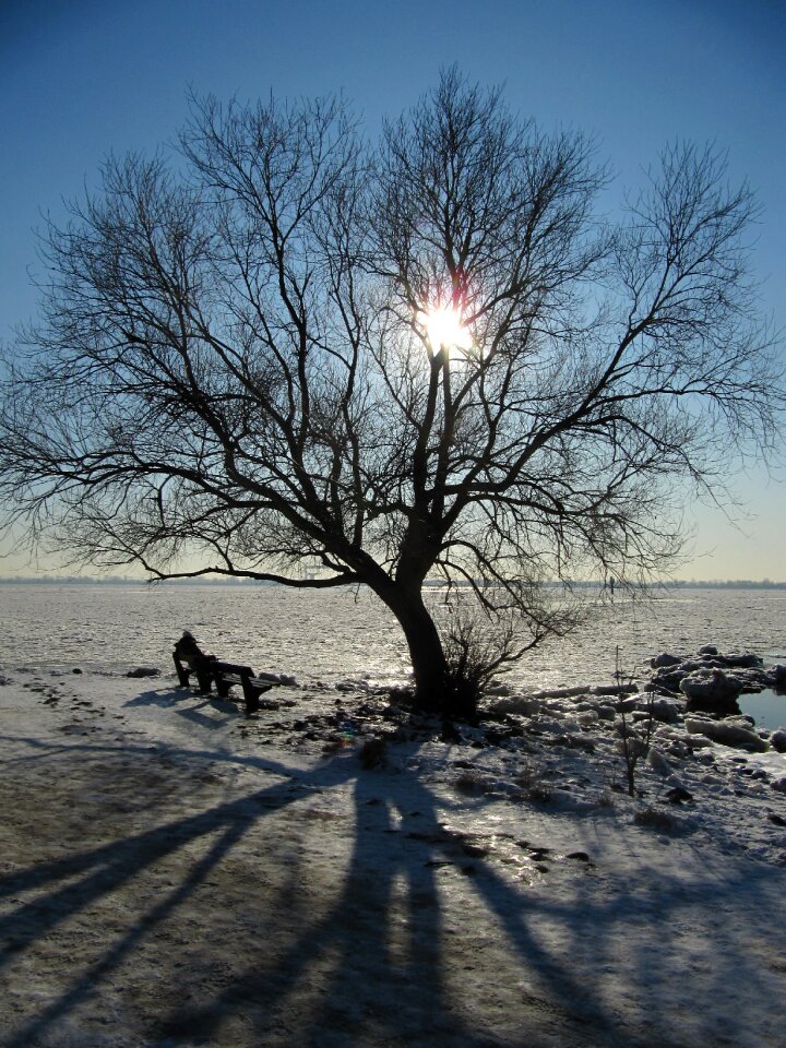 Sun elbe hamburg photo