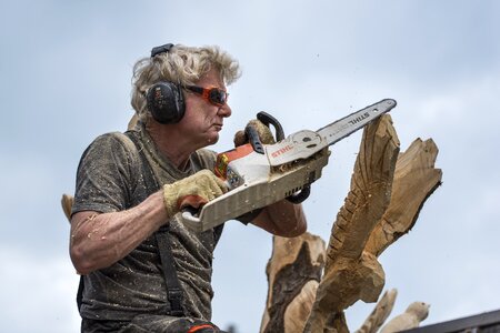 Tree chainsaw