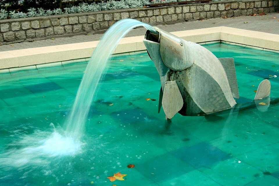 Fish water sculpture