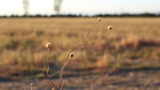 Horizon nature great