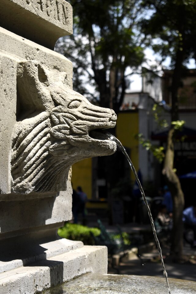 Cdmx source mexico