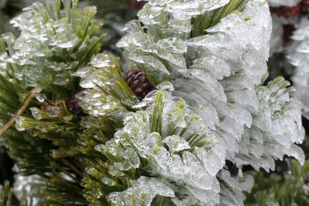 Cold nature crystal photo