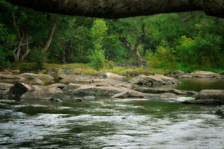 Beautiful nature