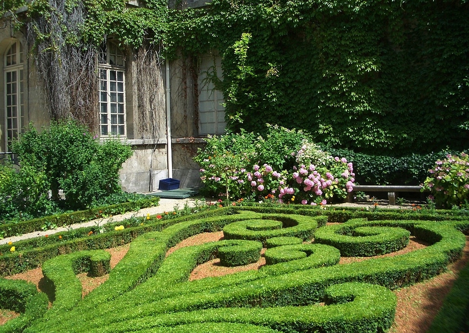 Plants designed manicured