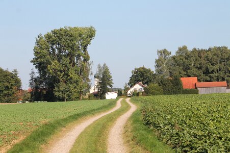 Rural lane field photo