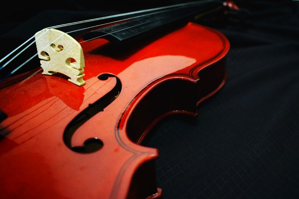 Musical musician instrument