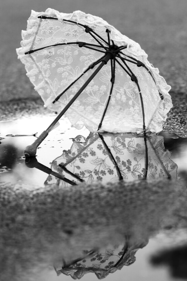 Water gray umbrella