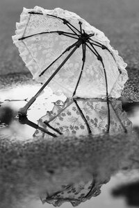 Water gray umbrella