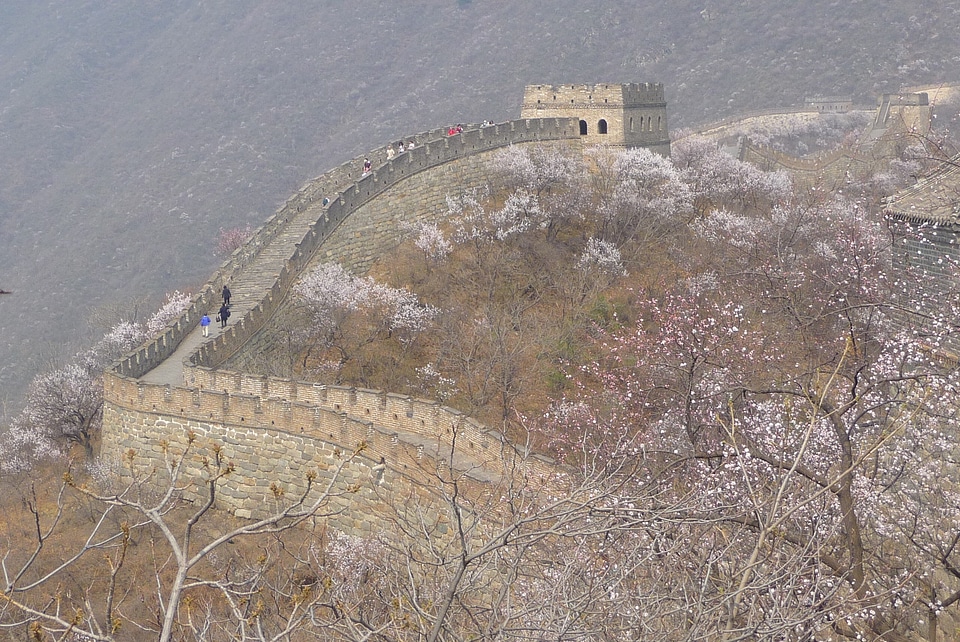 Stone history border