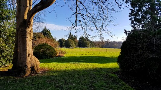 Environment field grass