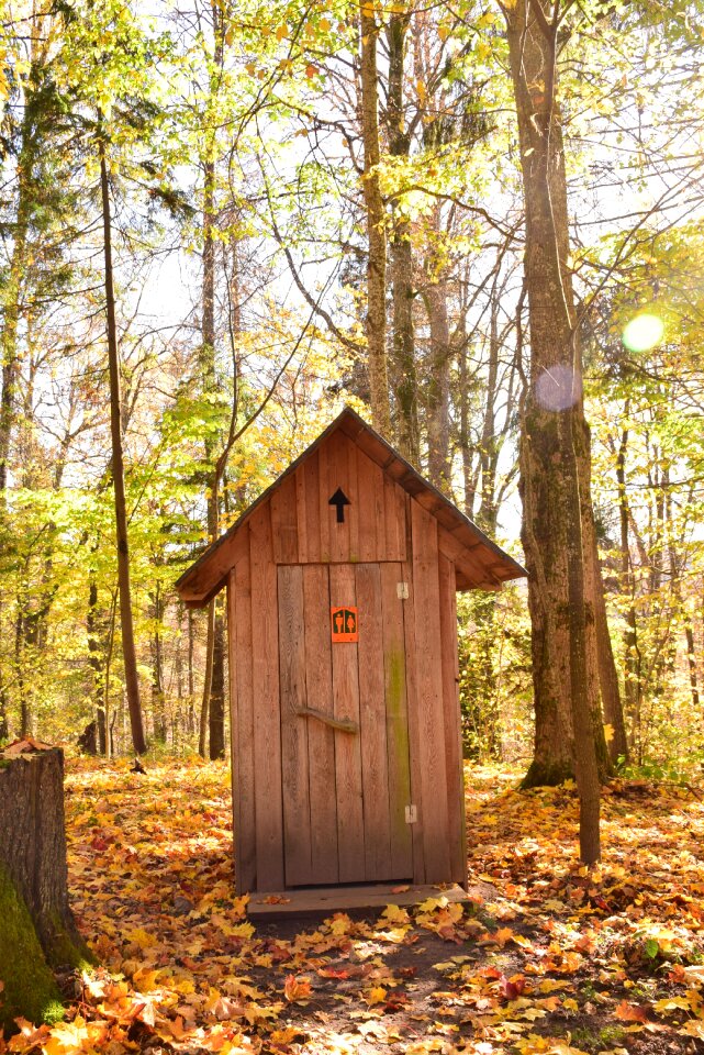 Restroom outdoor forest photo