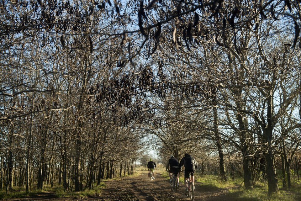 Cycling walk leisure