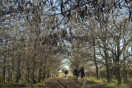 Cycling walk leisure