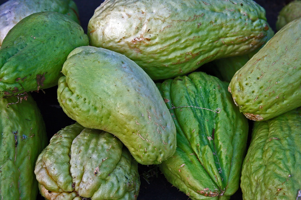 Vegetable food green