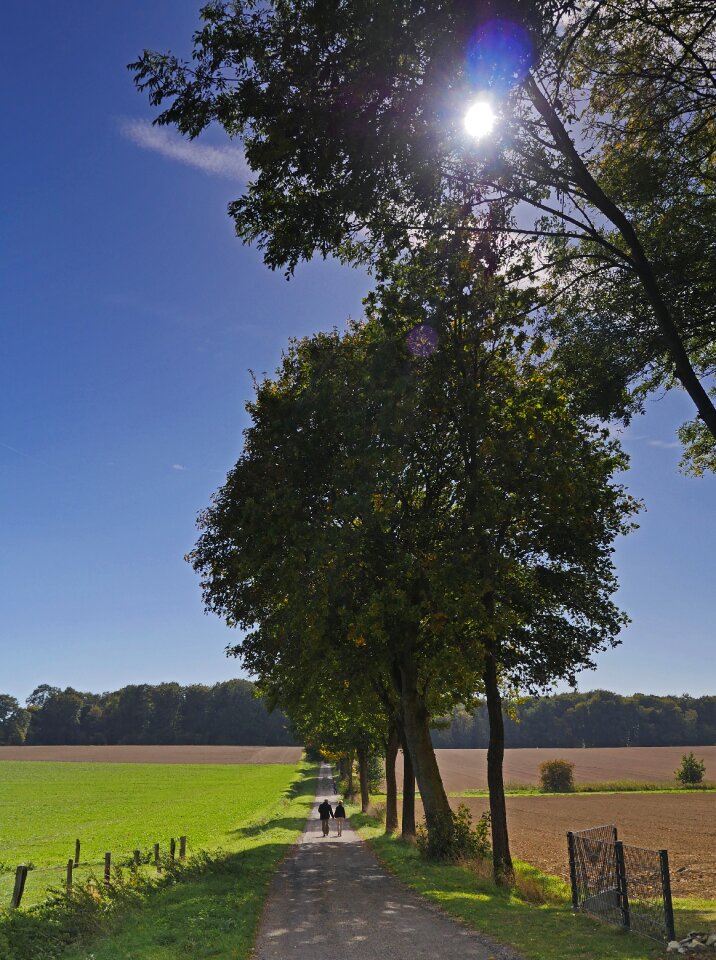 Nature fields green