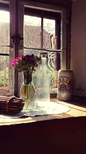 Window flowers bottle photo