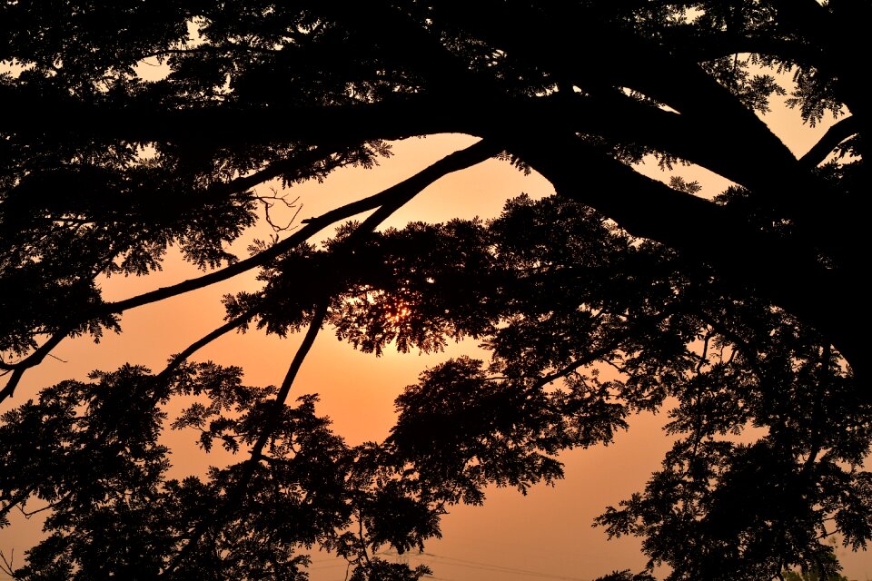 Peaceful scenic light