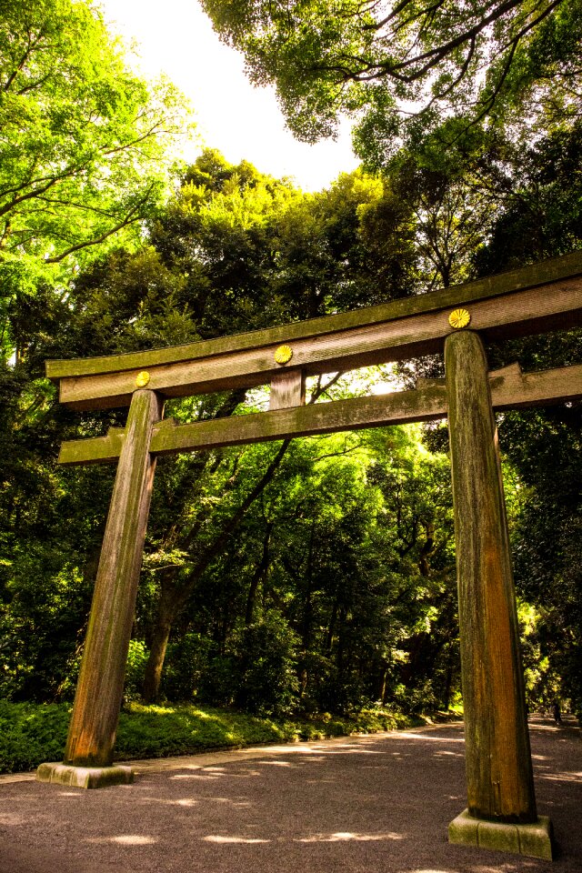 Shrine walkway rocks