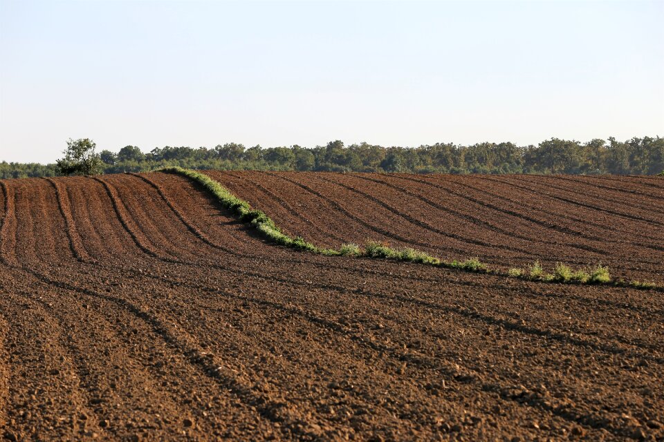 Agriculture countryside rural