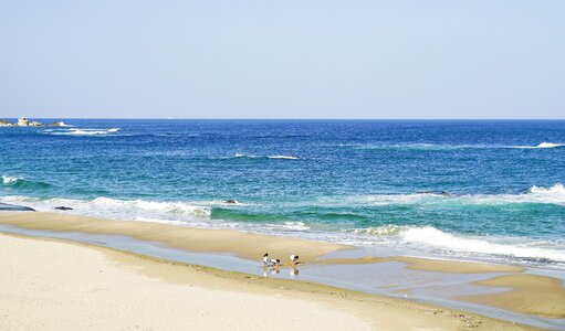 Summer beach blue