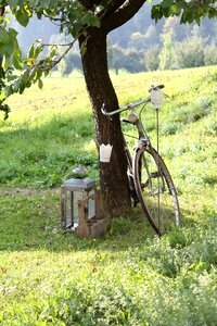 Retro vintage garden