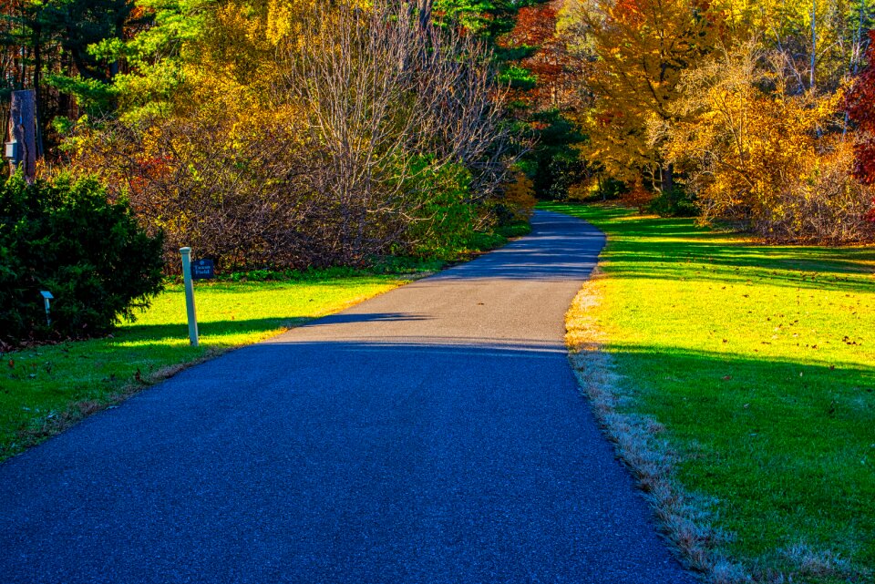 Colorful fall