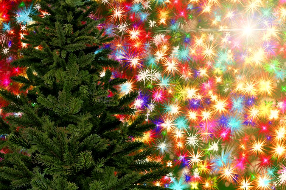 Fir tree star colorful