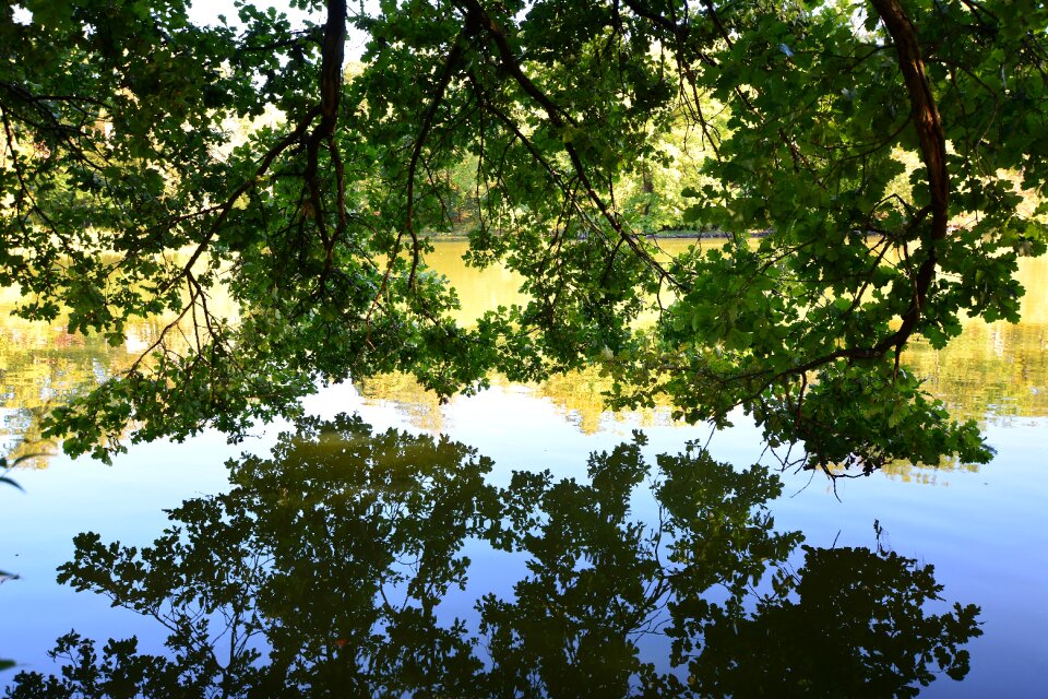 Park lake greiz mirroring