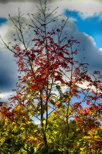Outdoor autumn fall