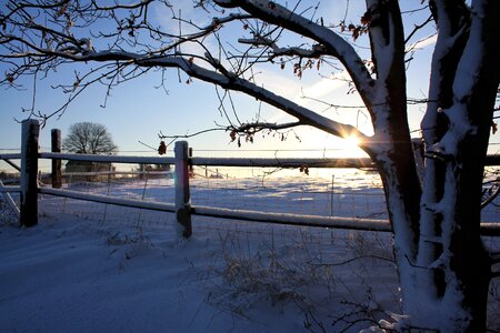 Trees romantic landscape