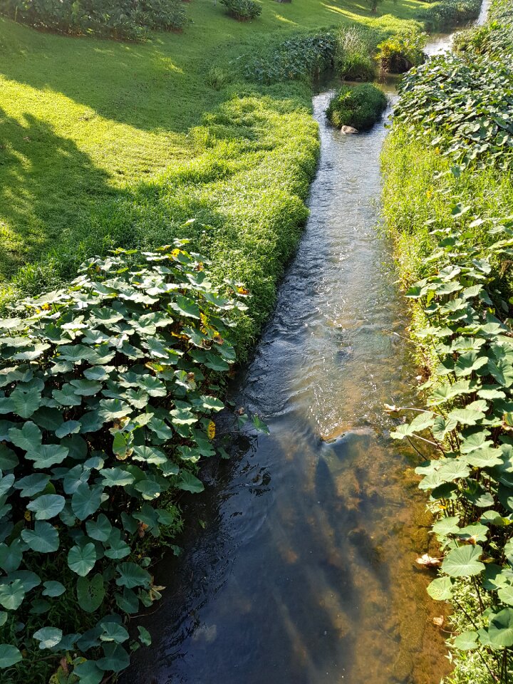 Nature landscape green