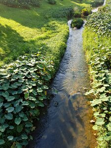 Nature landscape green