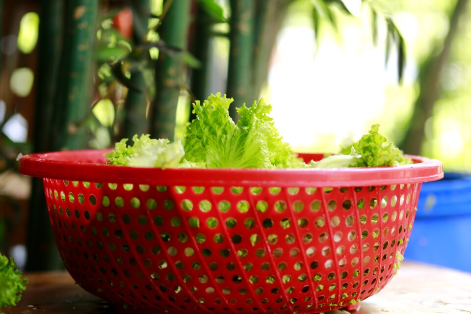 Vegetables vegetable basket green