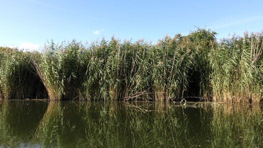 Lake waters mirroring