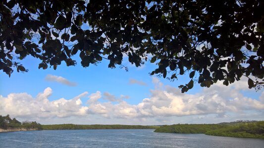 Landscape rio nature