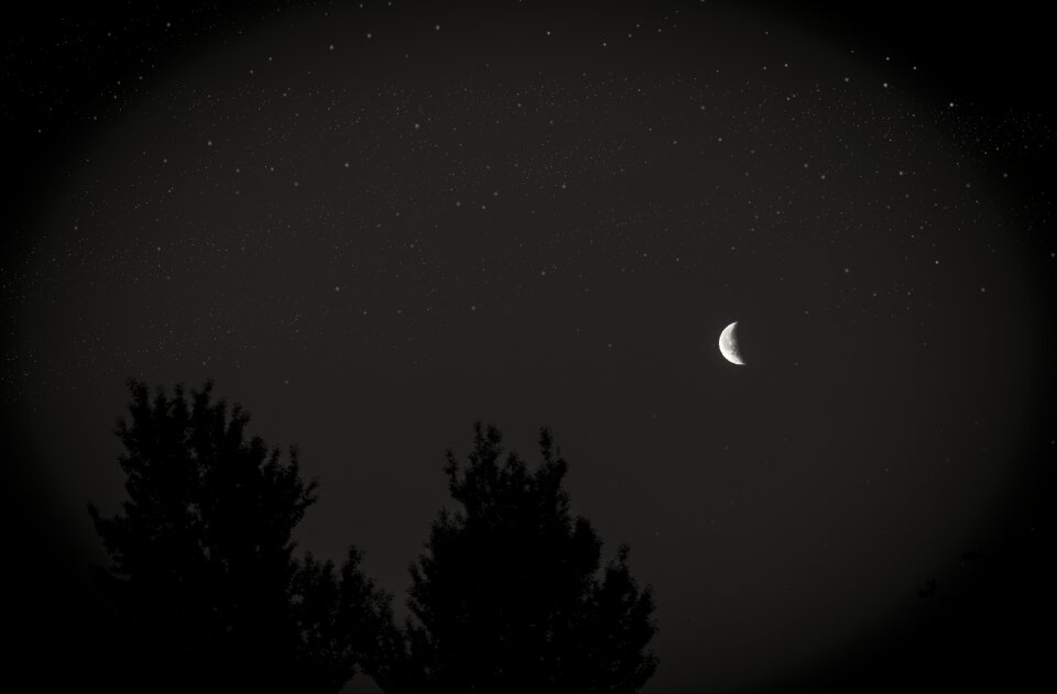 Night sky pomegranate